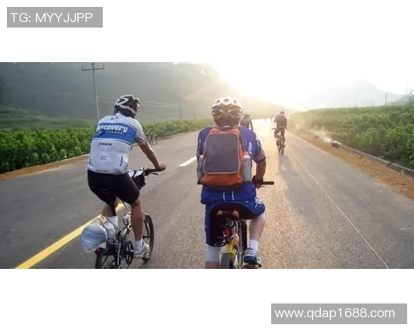 适合新手的公路自行车推荐与购买指南助你轻松入门骑行世界