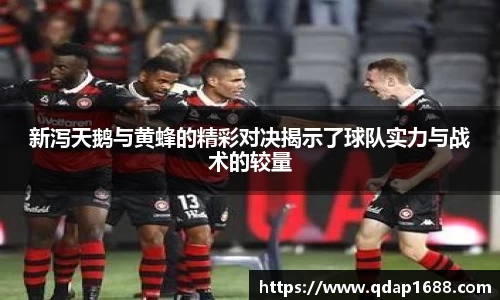 新泻天鹅与黄蜂的精彩对决揭示了球队实力与战术的较量